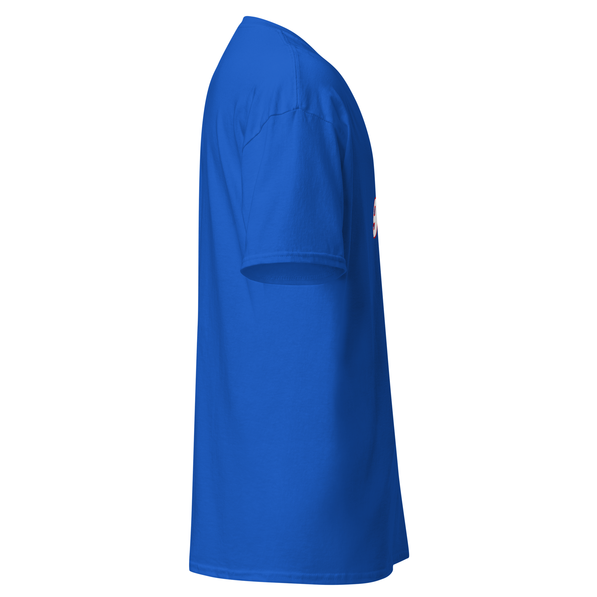 printful right view of the royal blue a big ant shirt.